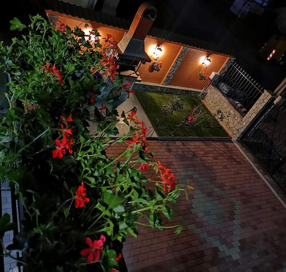 Casa Cizi Hotel Călimăneşti Exterior foto