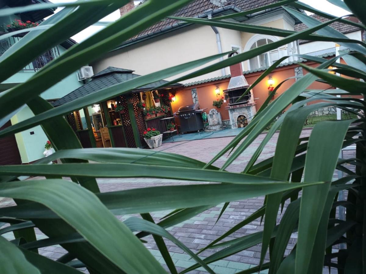 Casa Cizi Hotel Călimăneşti Exterior foto