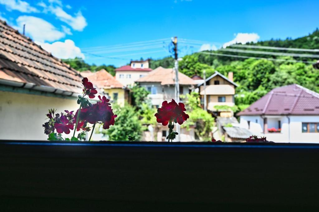 Casa Cizi Hotel Călimăneşti Exterior foto